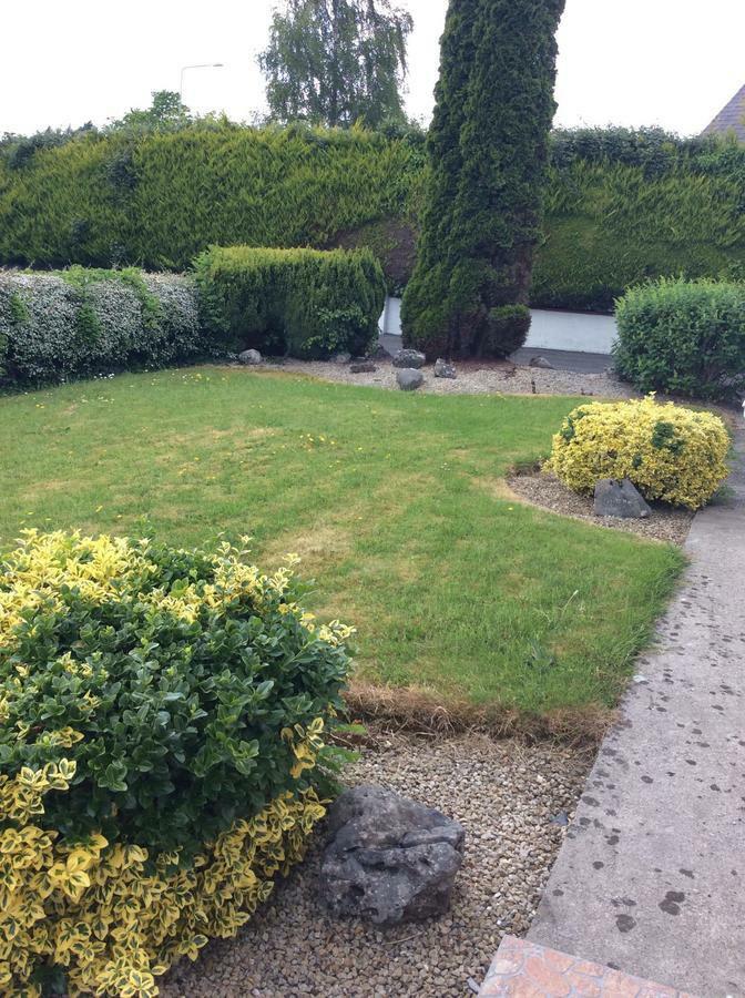 Bed and Breakfast Riverside House Roscommon Exterior foto
